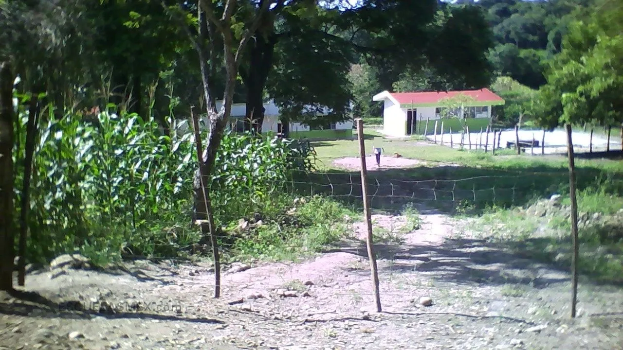 Profr. Salvador Valencia Ortuño Entrada