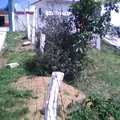 Ursulo Galvan