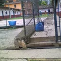 Lic. Benito Juarez Garcia
