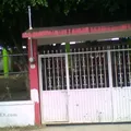 Vicente Guerrero