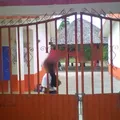 Jose Maria Morelos y Pavon