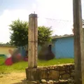 Tierra y Libertad