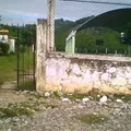 Simon Bolivar
