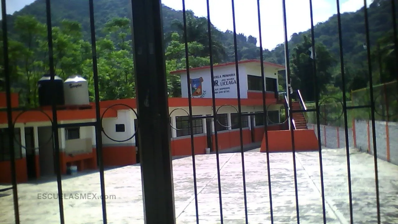 Dr. Jose Maria Liceaga Entrada