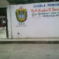 Profr. Carlos V. Torres Torija
