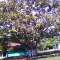 Guadalupe Victoria