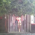 Enrique Rodriguez Cano