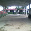 Ursulo Galvan