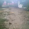 Lic. Fernando Lopez Arias