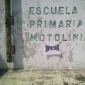 Motolinia