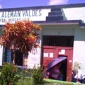 Lic. Miguel Aleman Valdes