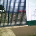 Vicente Guerrero