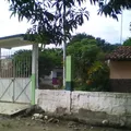 Graciano Valenzuela