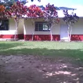 Revolucion