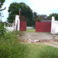 5 de Mayo