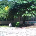 Agustin Melgar