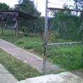 Luis Donaldo Colosio Murrieta