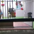 Marco Antonio Mu?oz