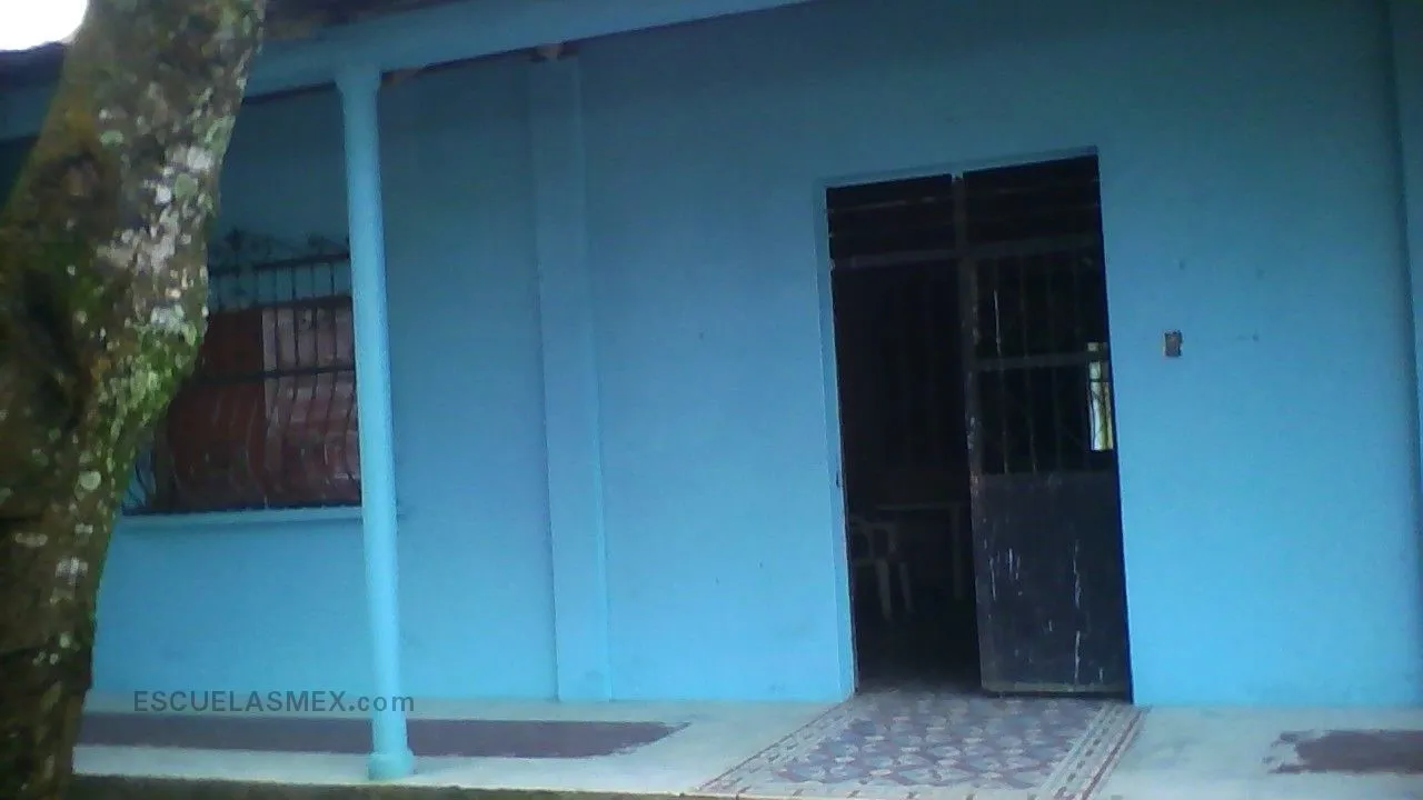 Gabino Barreda Entrada