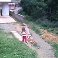 Mitepec