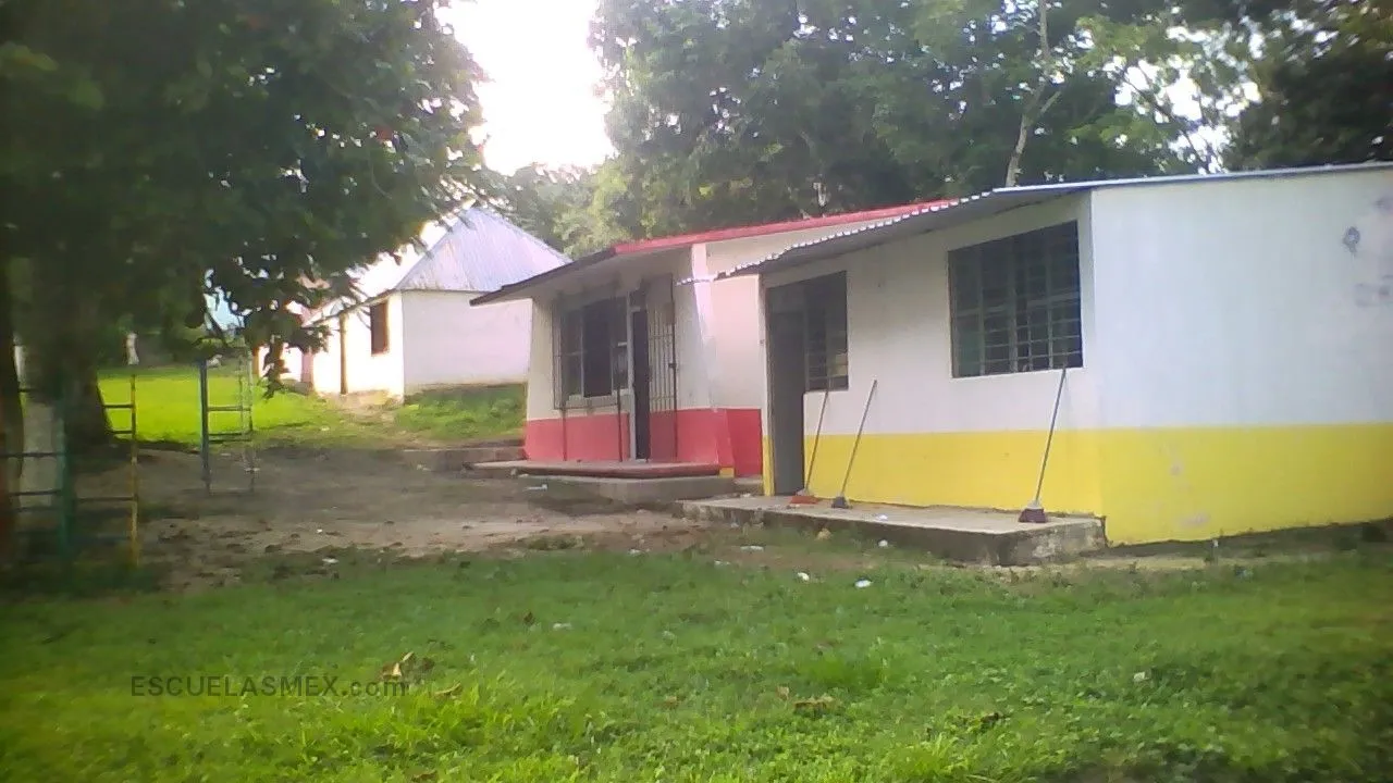 Guadalupe Castro Moreno Entrada