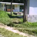 Axalpa