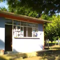 Loma del Izote (mata Planta)