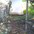 Paso Viejo
