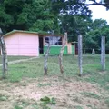 Las Yaguas