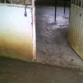 El Bebedero