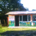 Palo Gacho