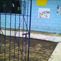 Aparicio