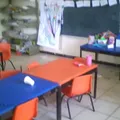 Palo Blanco