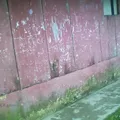 El Tundo
