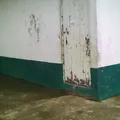 El Suchil Uno