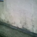 Cerro Chato