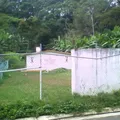 Kuapol