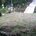Lomas Verdes