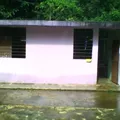 San Miguel Temoloapan (nuevo San Miguel)