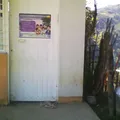 Zacatal