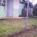El Separo