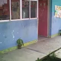 Las Camelias (san Francisco)