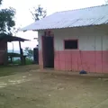 Seccion Plan de Limon