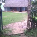 El Rubi