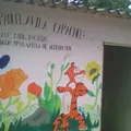 Paraiso Naranjo