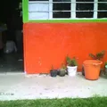 Atiopa