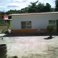 Mata Tejon