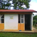 Nuevo Mangal