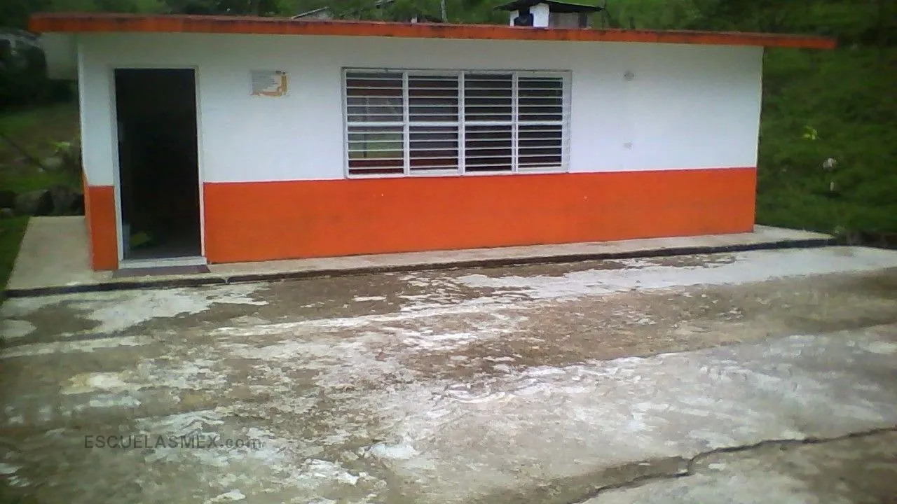 Buen Amigo Entrada