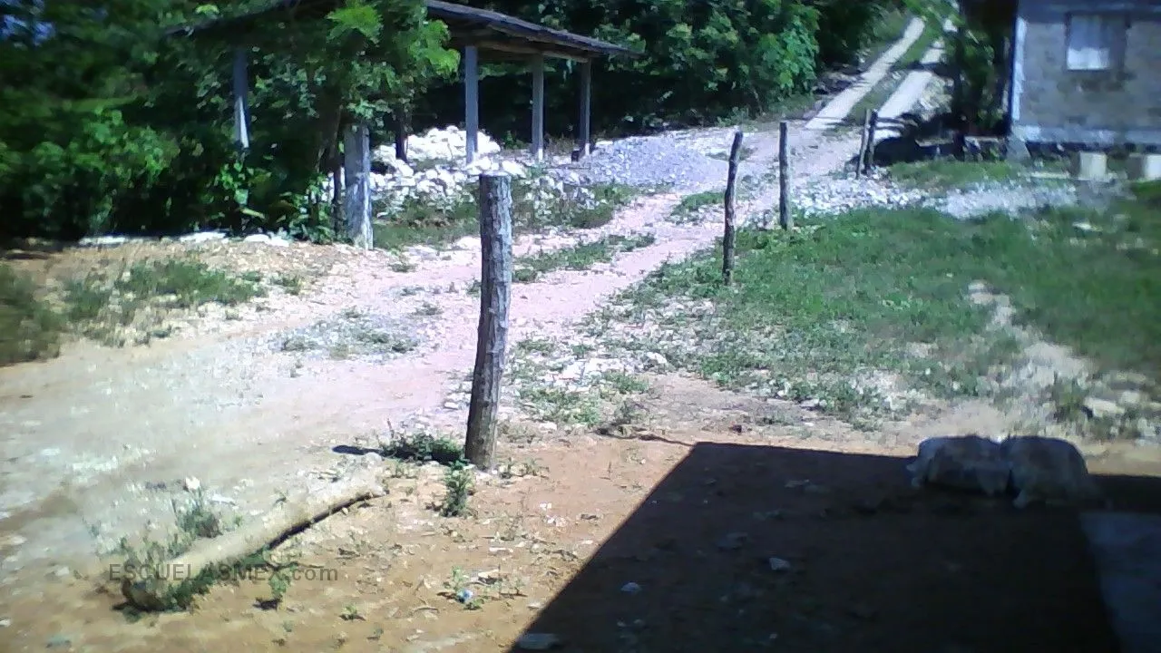 Bernabes Entrada